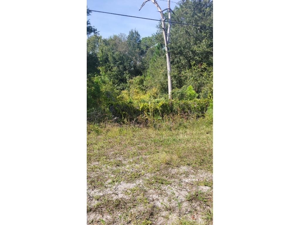 18068 Commonwealth Avenue N Polk City FL 33868 O6151931 image1