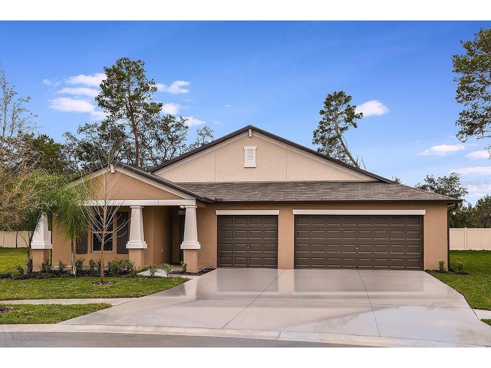 1807 Blue Orchid Avenue Plant City FL 33565 T3507274 image1