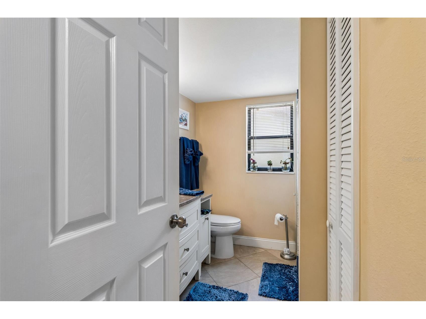 1807 Hammock Pine Boulevard #1807 Clearwater FL 33761 TB8511971 image16