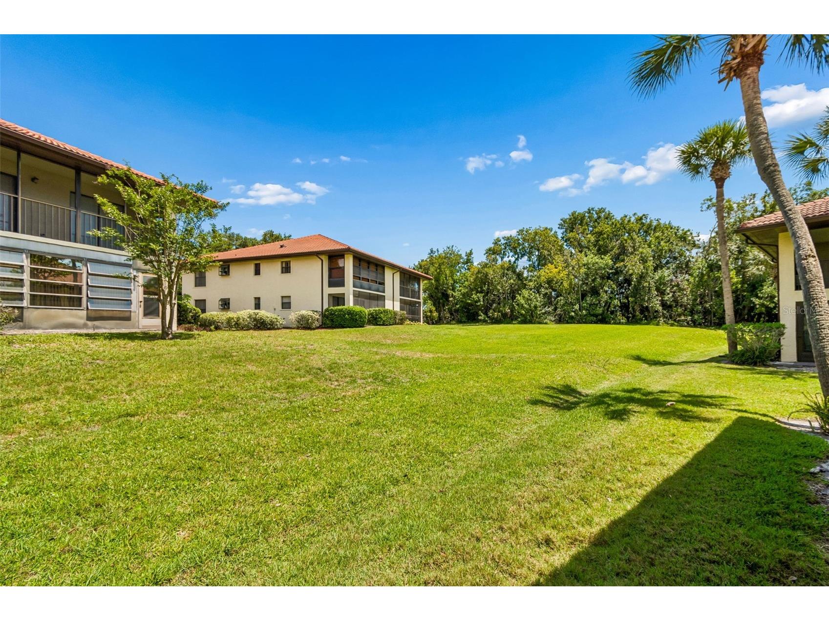 1807 Hammock Pine Boulevard #1807 Clearwater FL 33761 TB8511971 image28