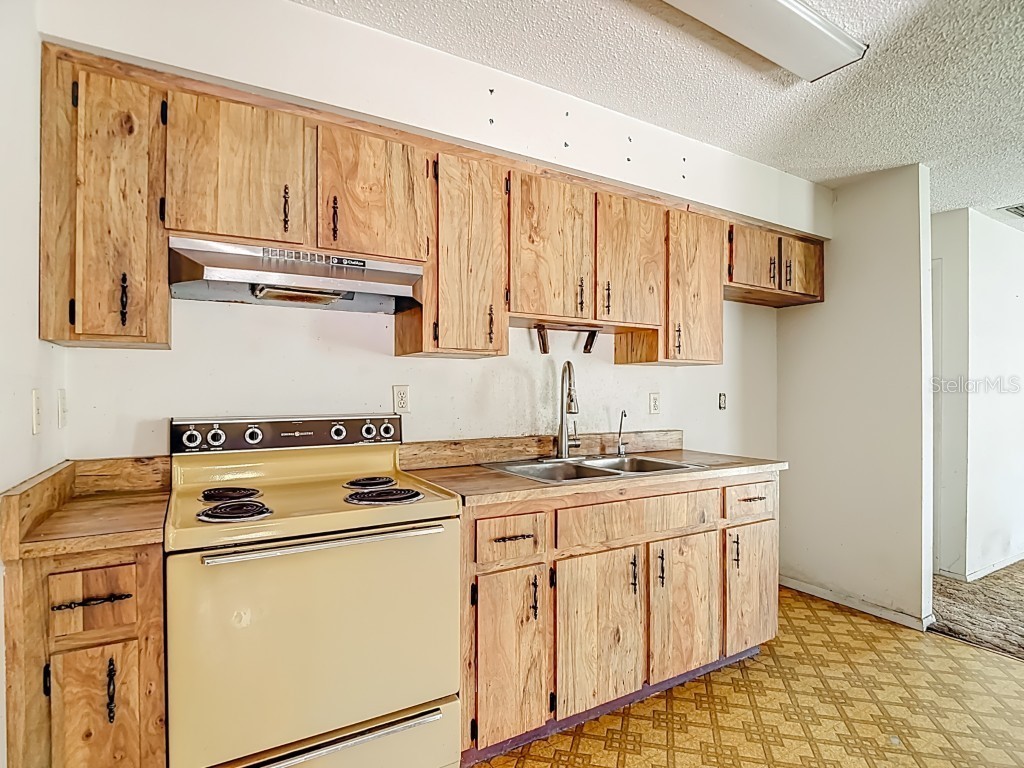 1807 N Barnes Street Plant City FL 33563 O6361952 image11