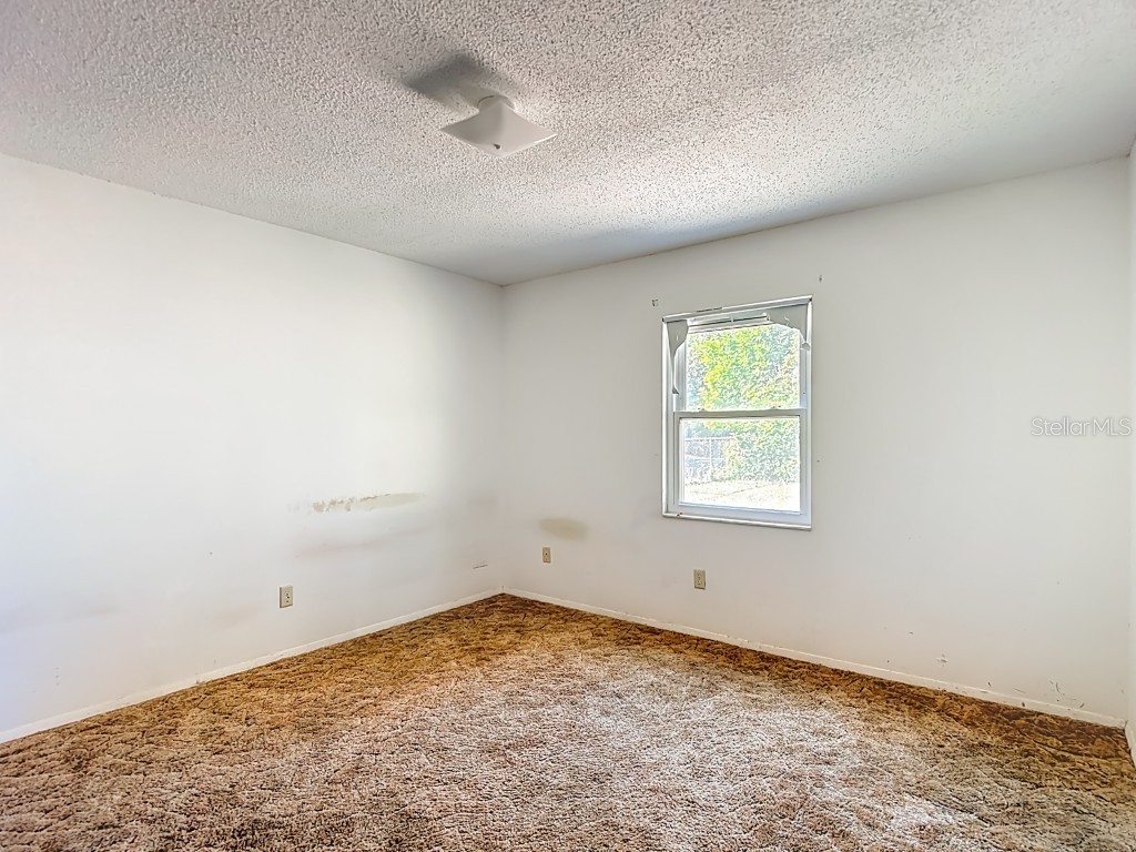 1807 N Barnes Street Plant City FL 33563 O6361952 image17