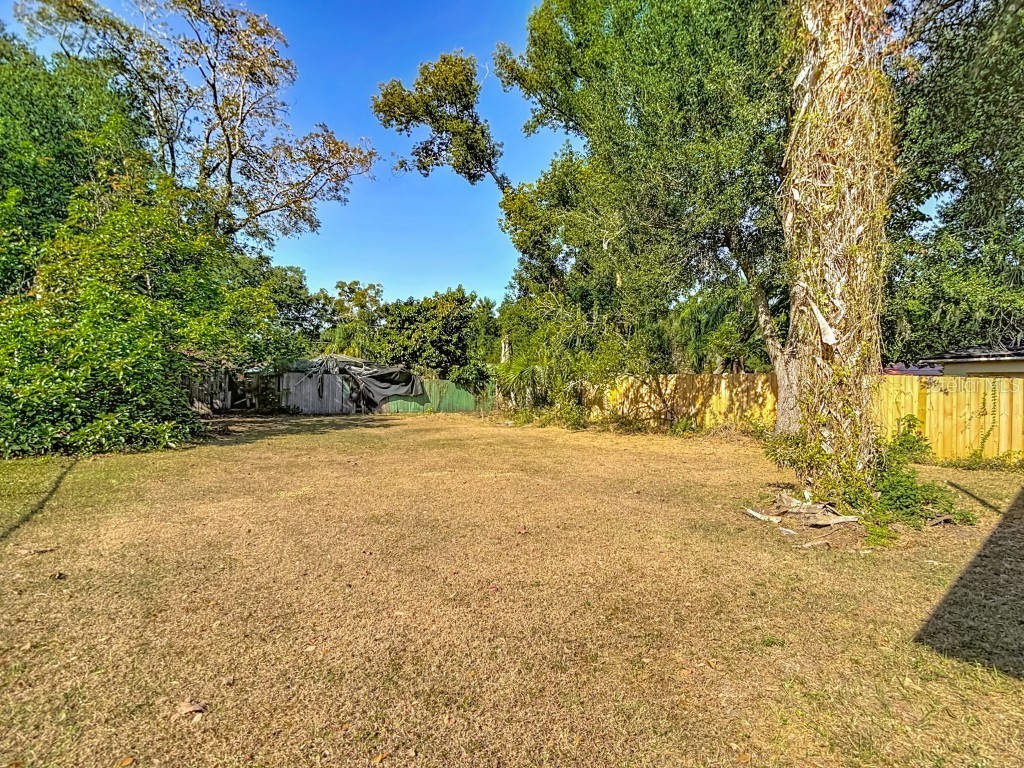 1807 N Barnes Street Plant City FL 33563 O6361952 image24