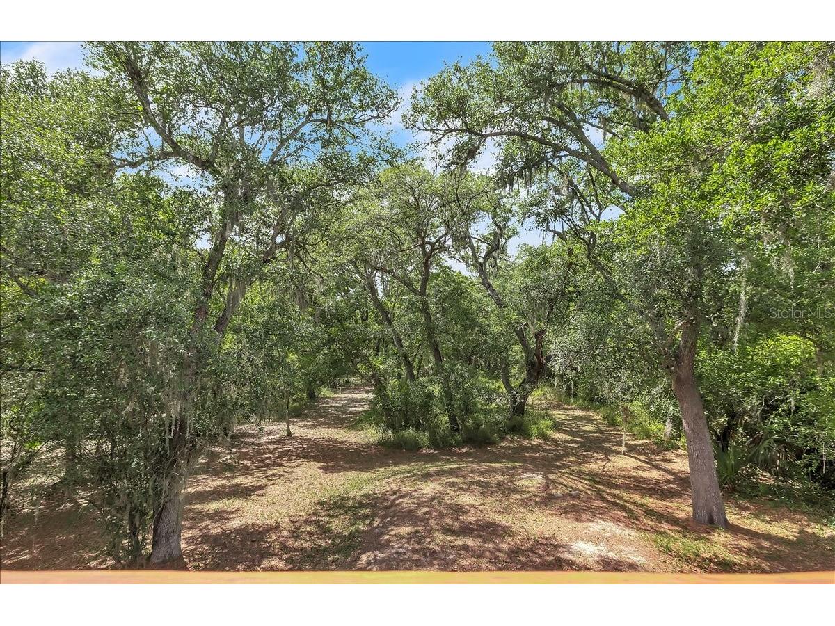 1807 NW Owens Avenue Arcadia FL 34266 C7524149 image34