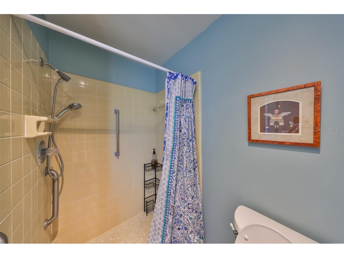 1807 Pineapple Palm Court Sun City Center FL 33573 TB8449050 image29