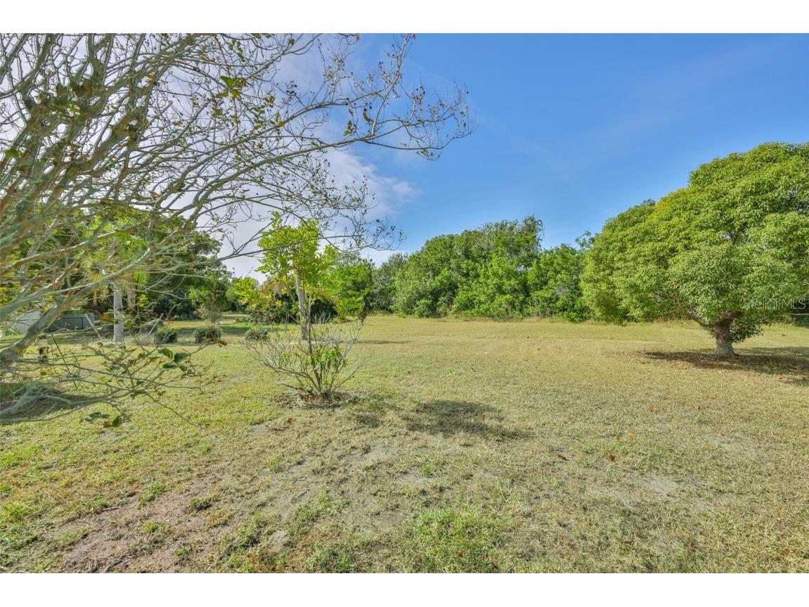 1807 Pineapple Palm Court Sun City Center FL 33573 TB8449050 image41