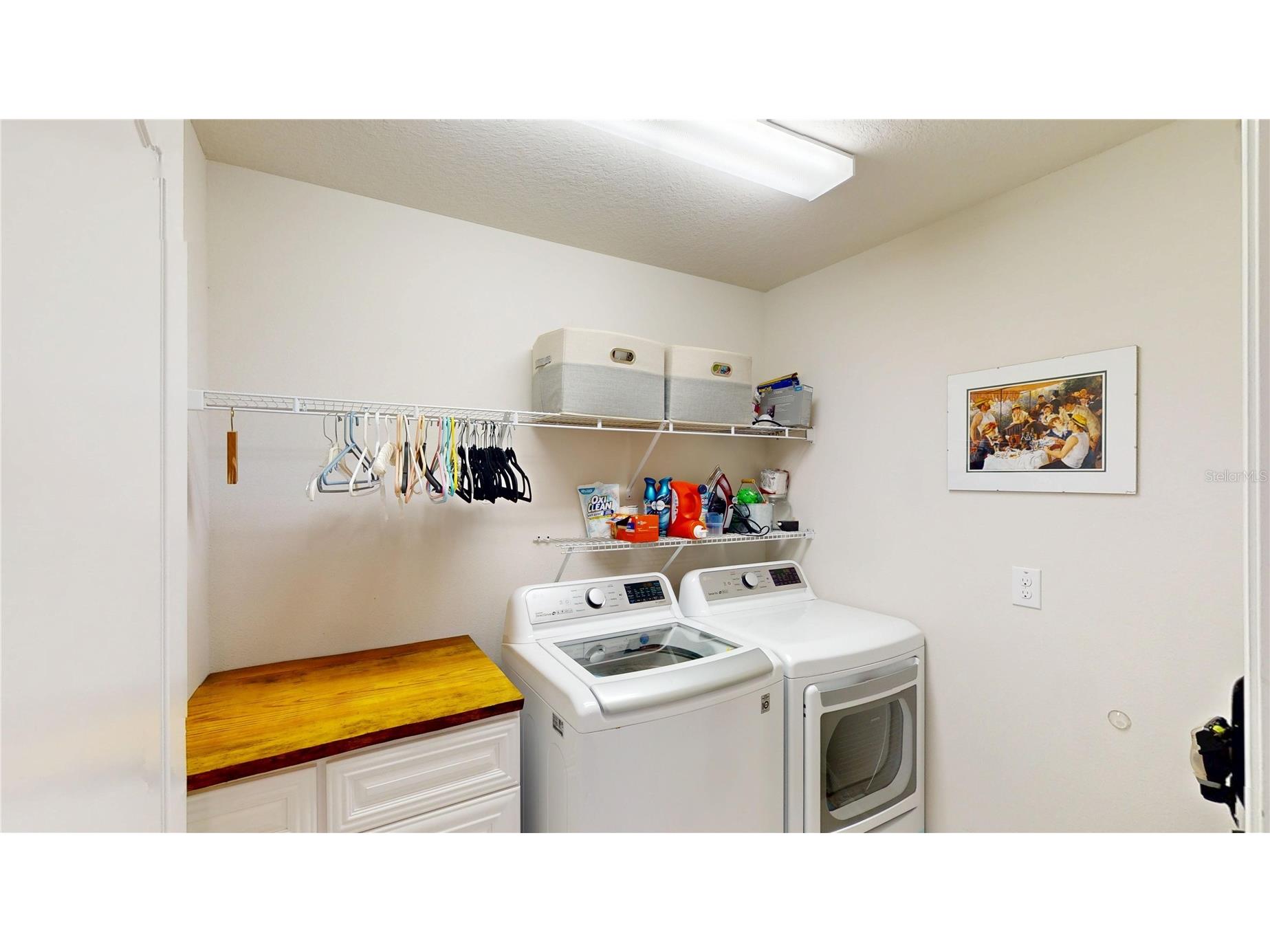18071 Fenders Way Land O Lakes FL 34638 TB8496670 image35