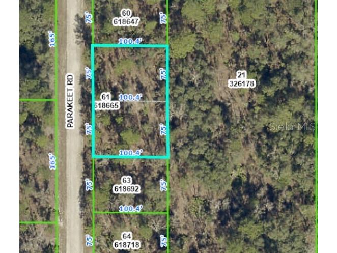 18074 Parakeet Road Weeki Wachee FL 34614 W7859492 image1