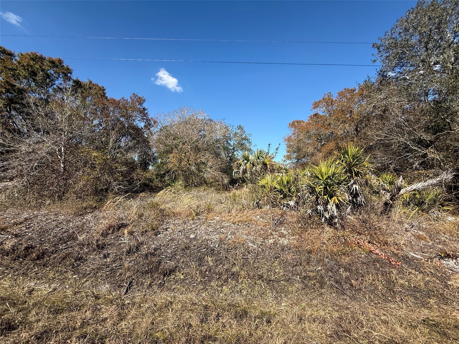 18075 NW 278th Street Okeechobee FL 34972 K4903280 image1