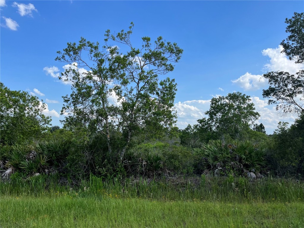 18076 NW 276th Street Okeechobee FL 34972 OK222884 image1