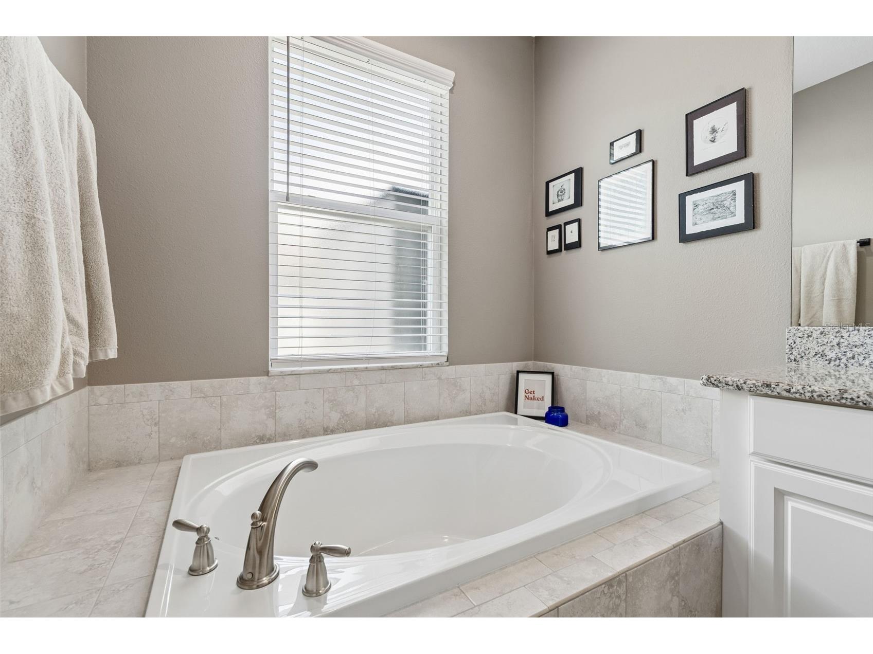 18078 Romanesque Court Spring Hill FL 34610 TB8502019 image50