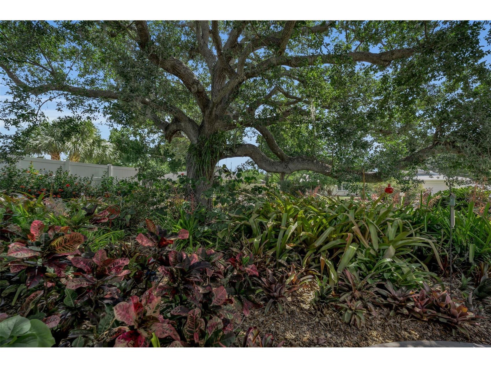 1808 49th Street W Bradenton FL 34209 A4699235 image21