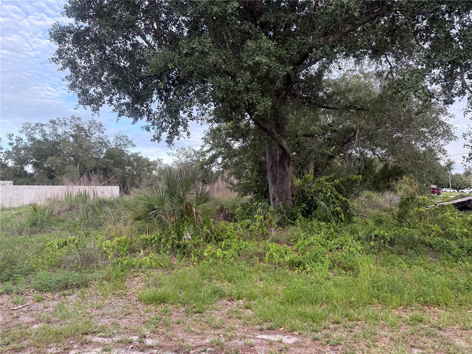 1808 Capitol Street North Port FL 34288 C7526778 image3