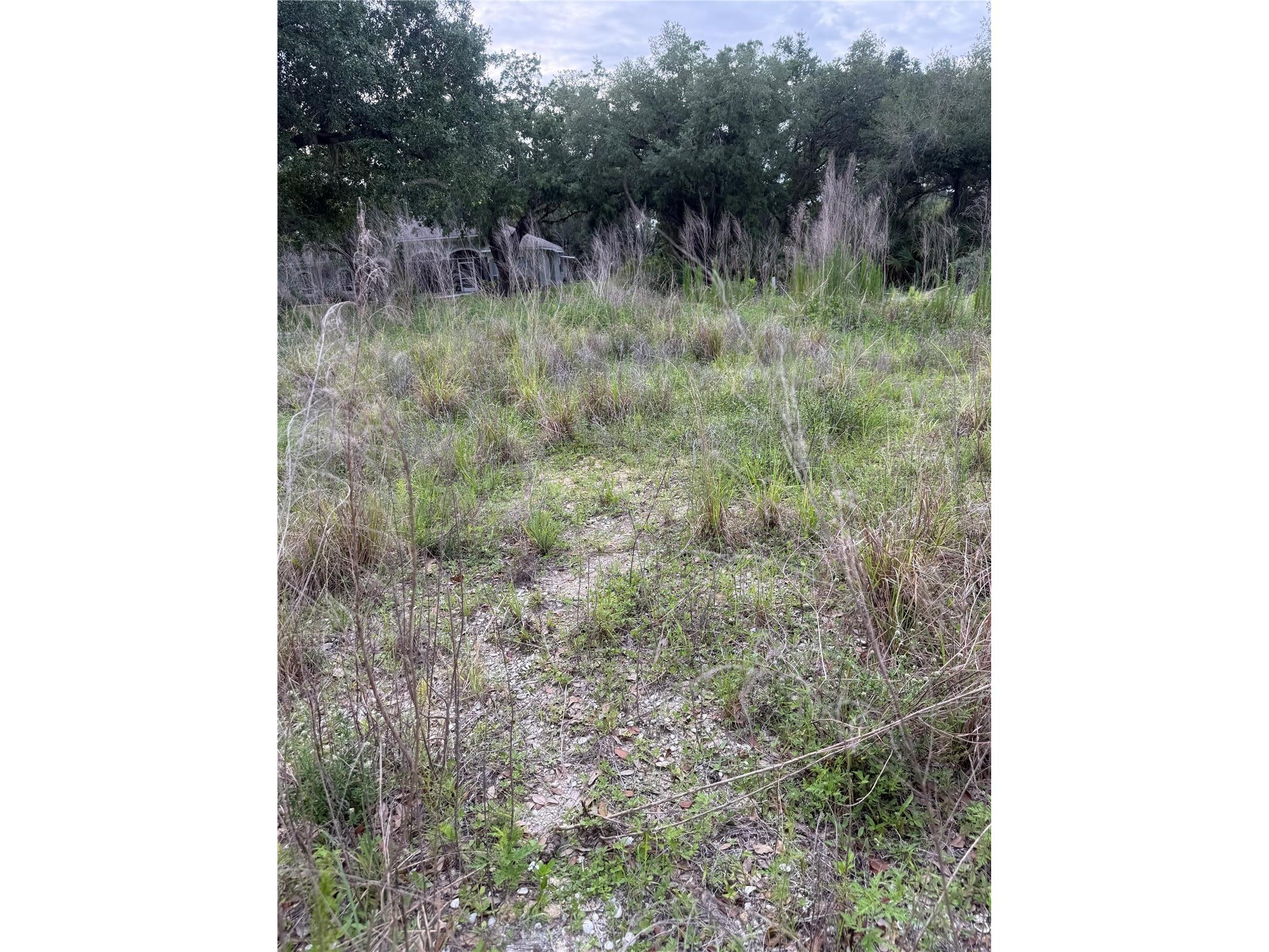 1808 Capitol Street North Port FL 34288 C7526778 image4
