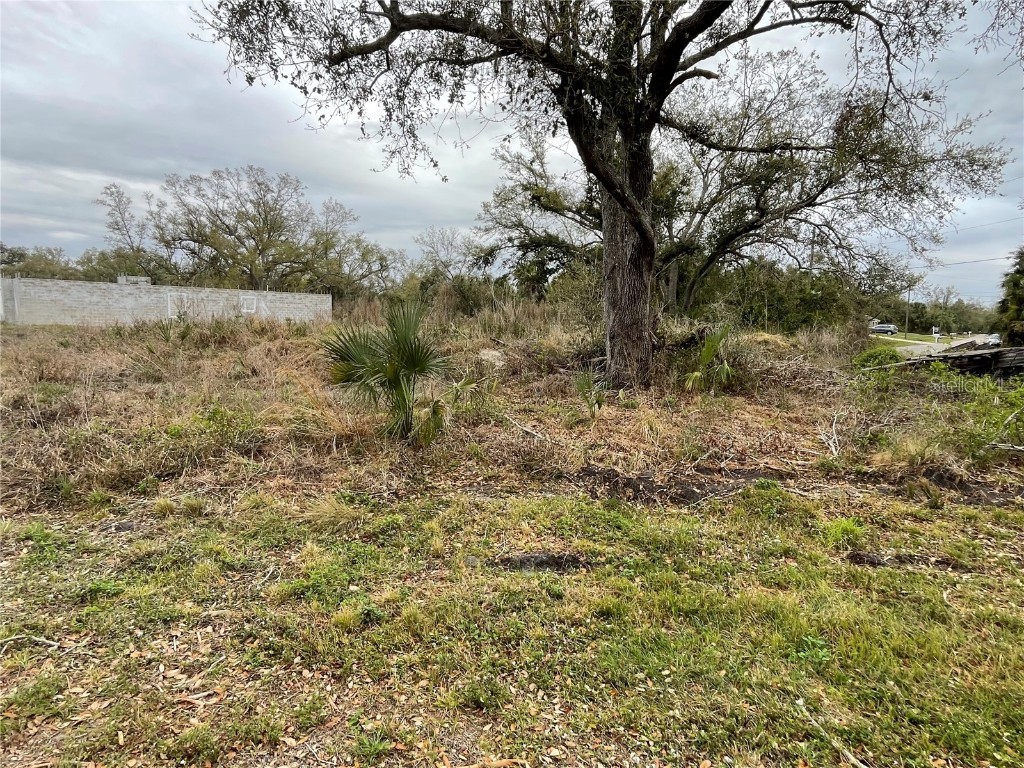 1808 Capitol Street North Port FL 34288 TB8359086 image2