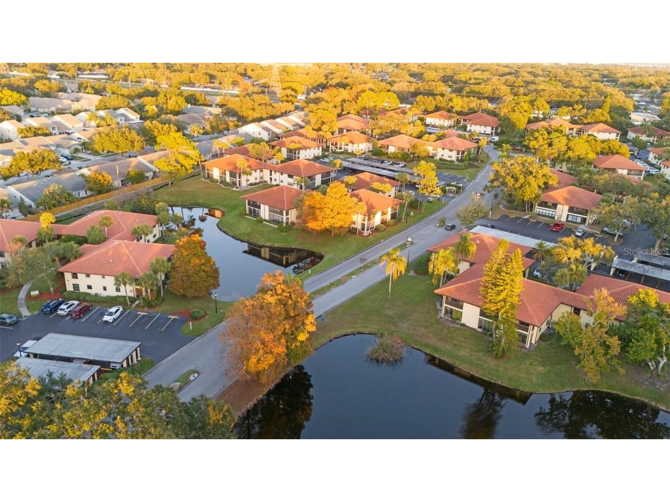 1808 Hammock Pine Boulevard #1808 Clearwater FL 33761 TB8458035 image10