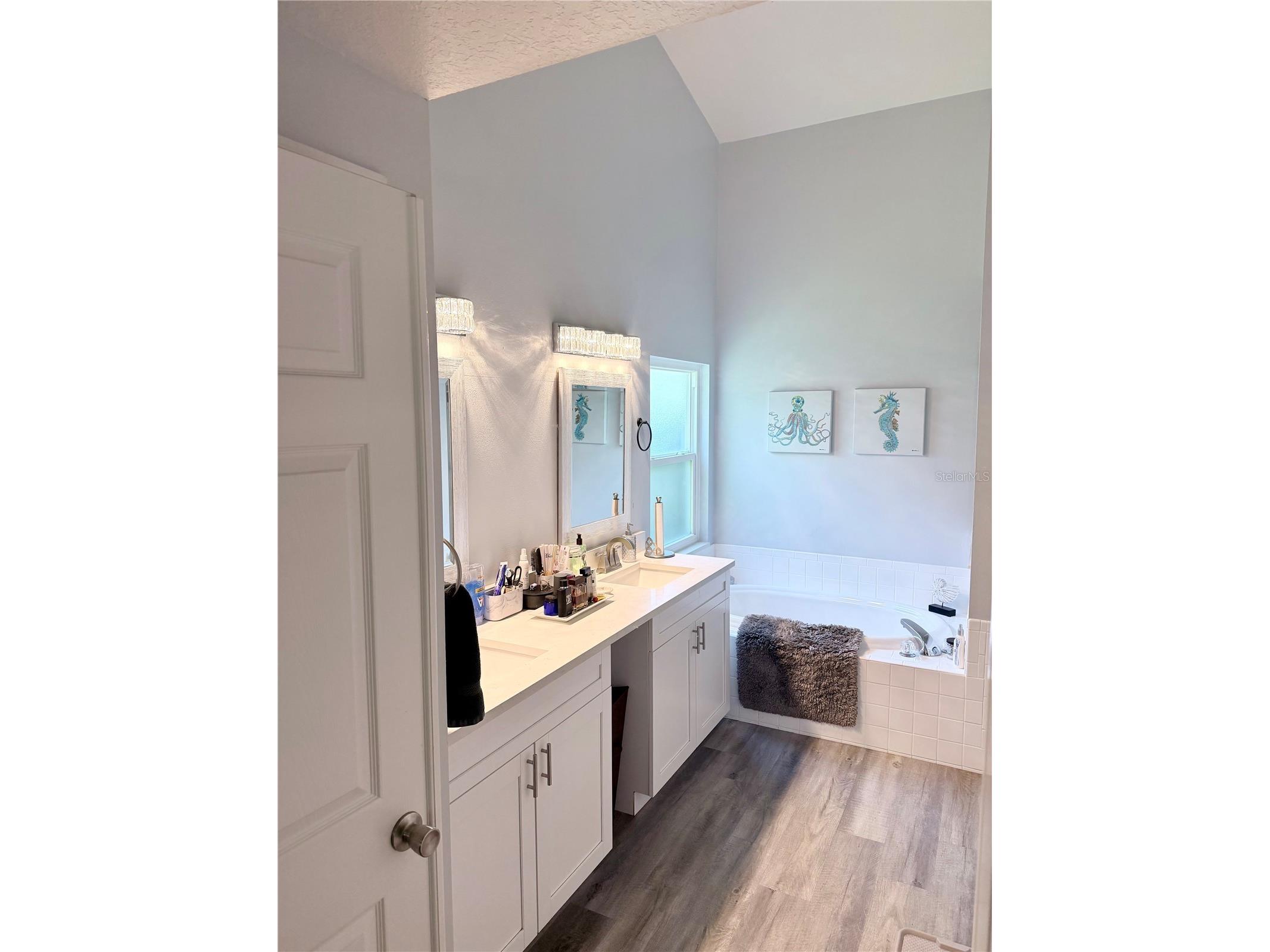 1808 Powder Ridge Drive Valrico FL 33594 W7887350 image29