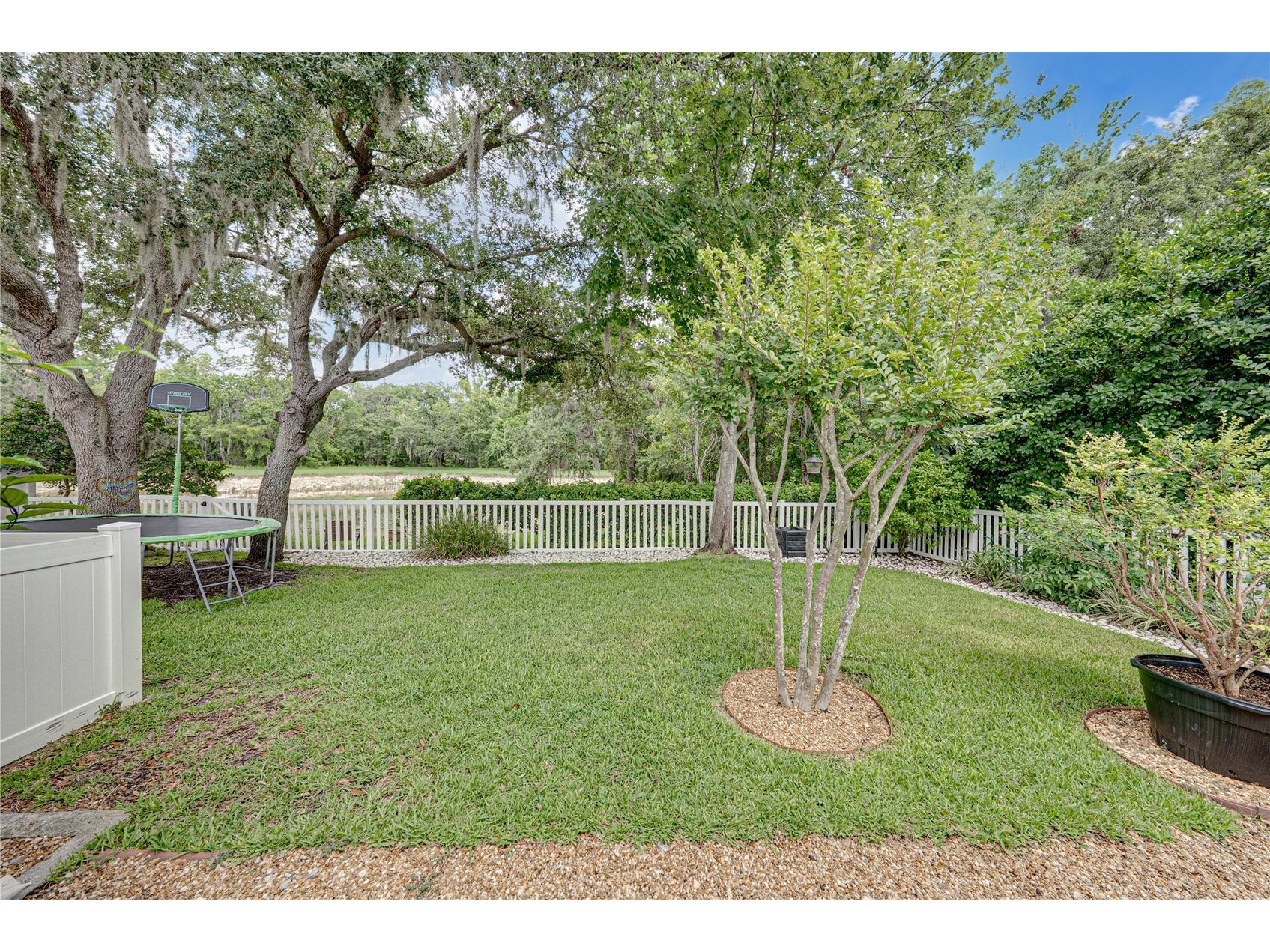 1808 Tangledvine Drive Wesley Chapel FL 33543 TB8514047 image53