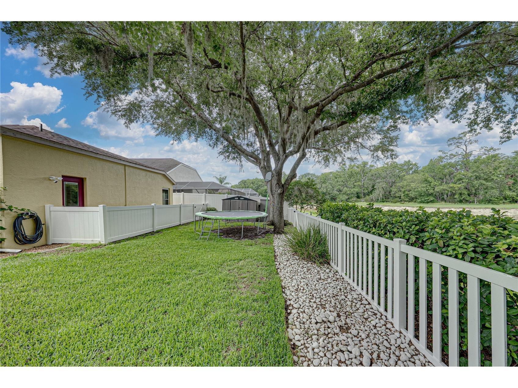 1808 Tangledvine Drive Wesley Chapel FL 33543 TB8514047 image55