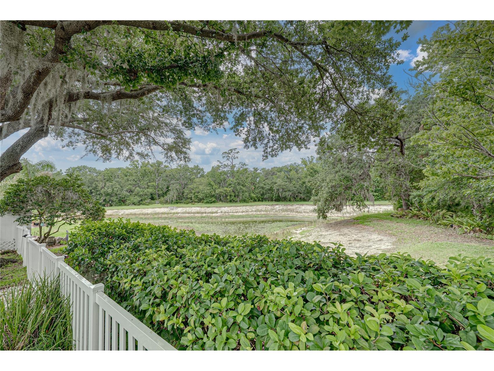 1808 Tangledvine Drive Wesley Chapel FL 33543 TB8514047 image56