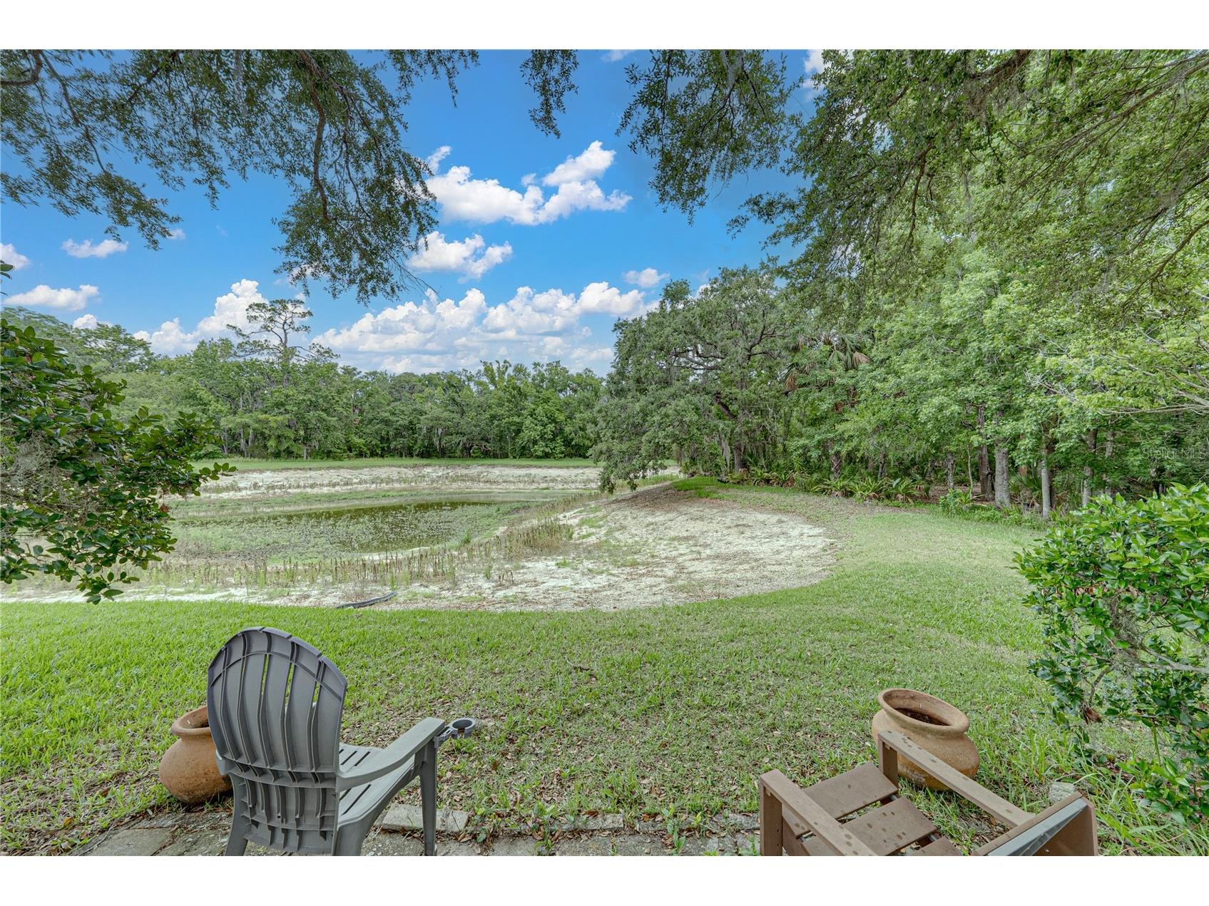 1808 Tangledvine Drive Wesley Chapel FL 33543 TB8514047 image58