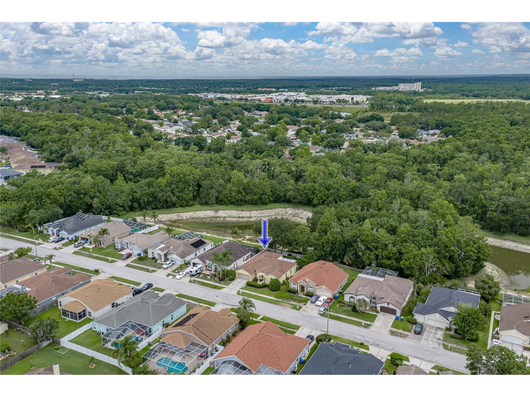 1808 Tangledvine Drive Wesley Chapel FL 33543 TB8514047 image60