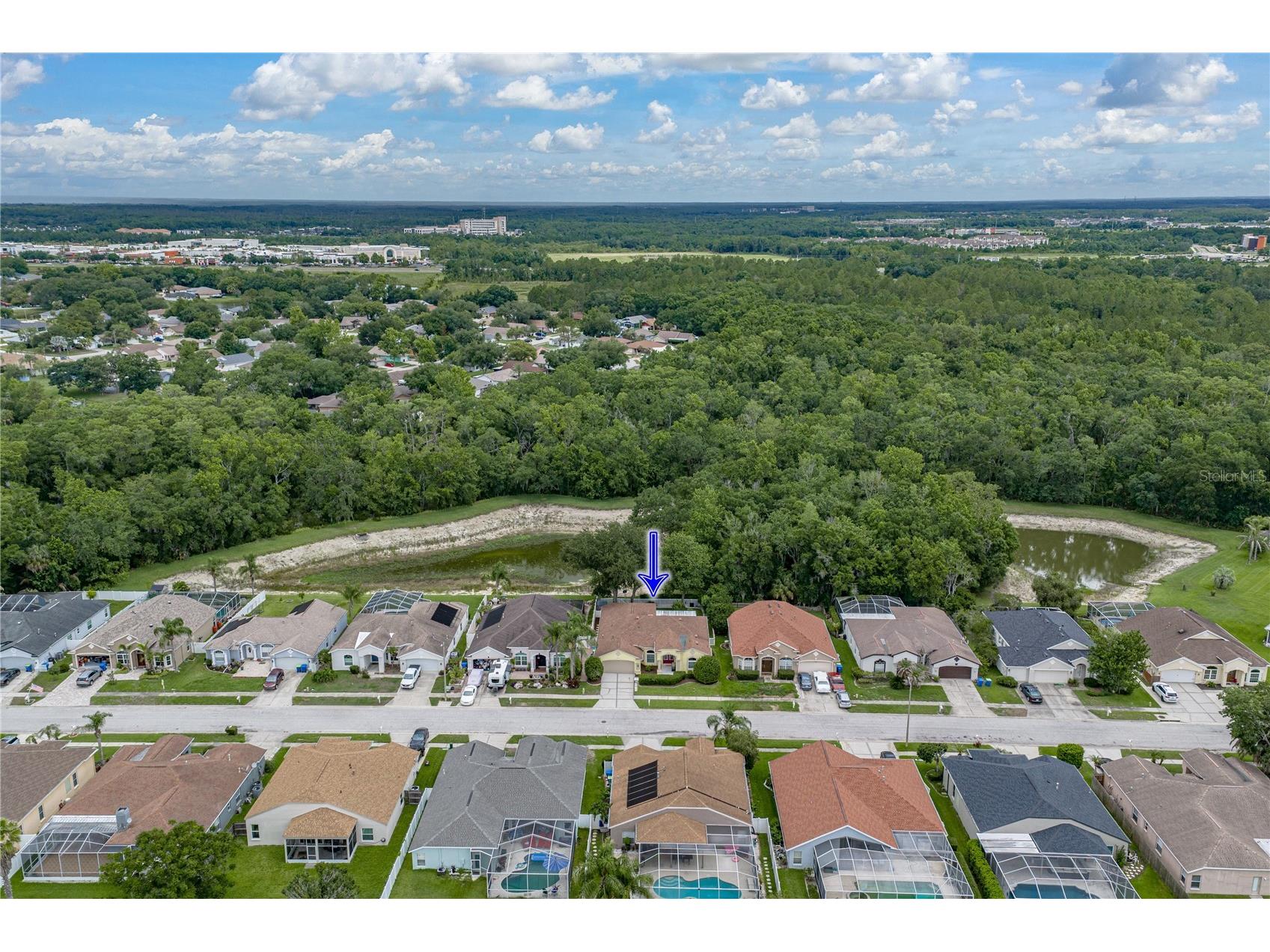 1808 Tangledvine Drive Wesley Chapel FL 33543 TB8514047 image61