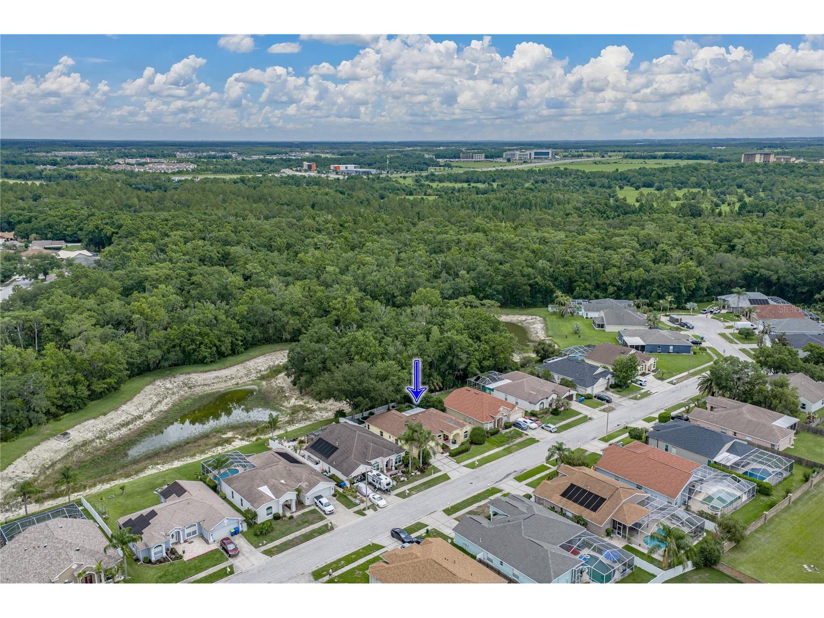 1808 Tangledvine Drive Wesley Chapel FL 33543 TB8514047 image62