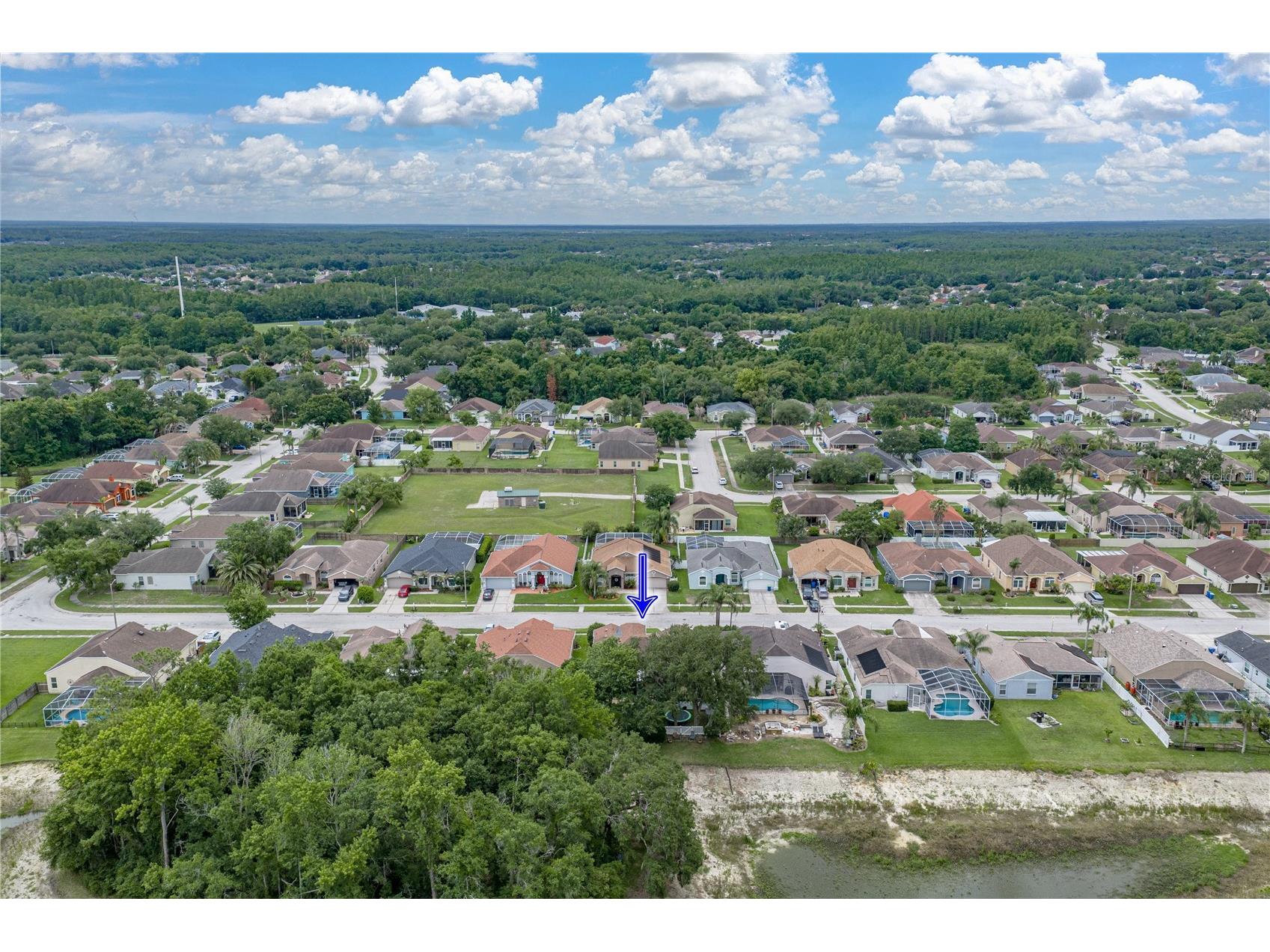 1808 Tangledvine Drive Wesley Chapel FL 33543 TB8514047 image63