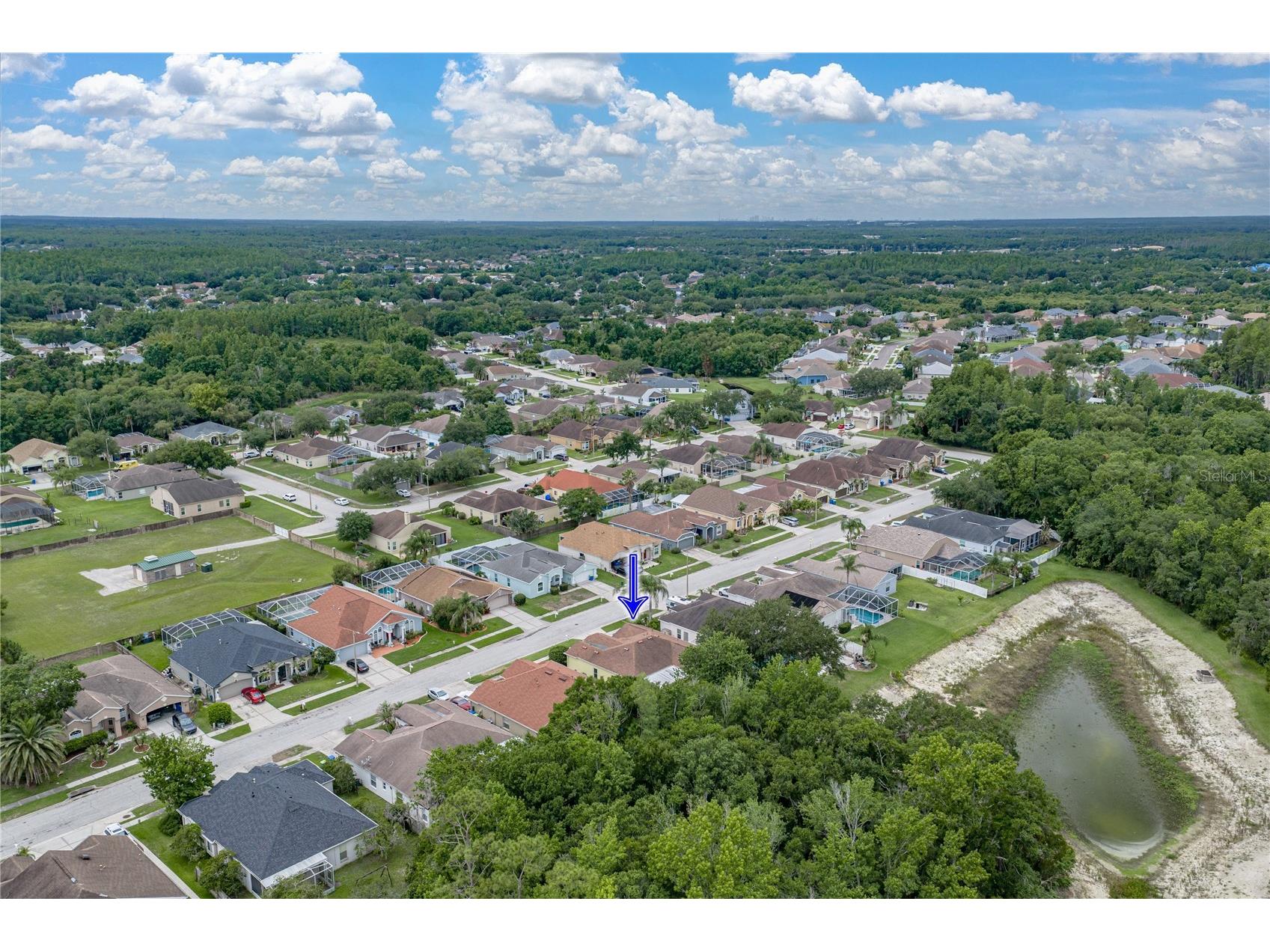 1808 Tangledvine Drive Wesley Chapel FL 33543 TB8514047 image64