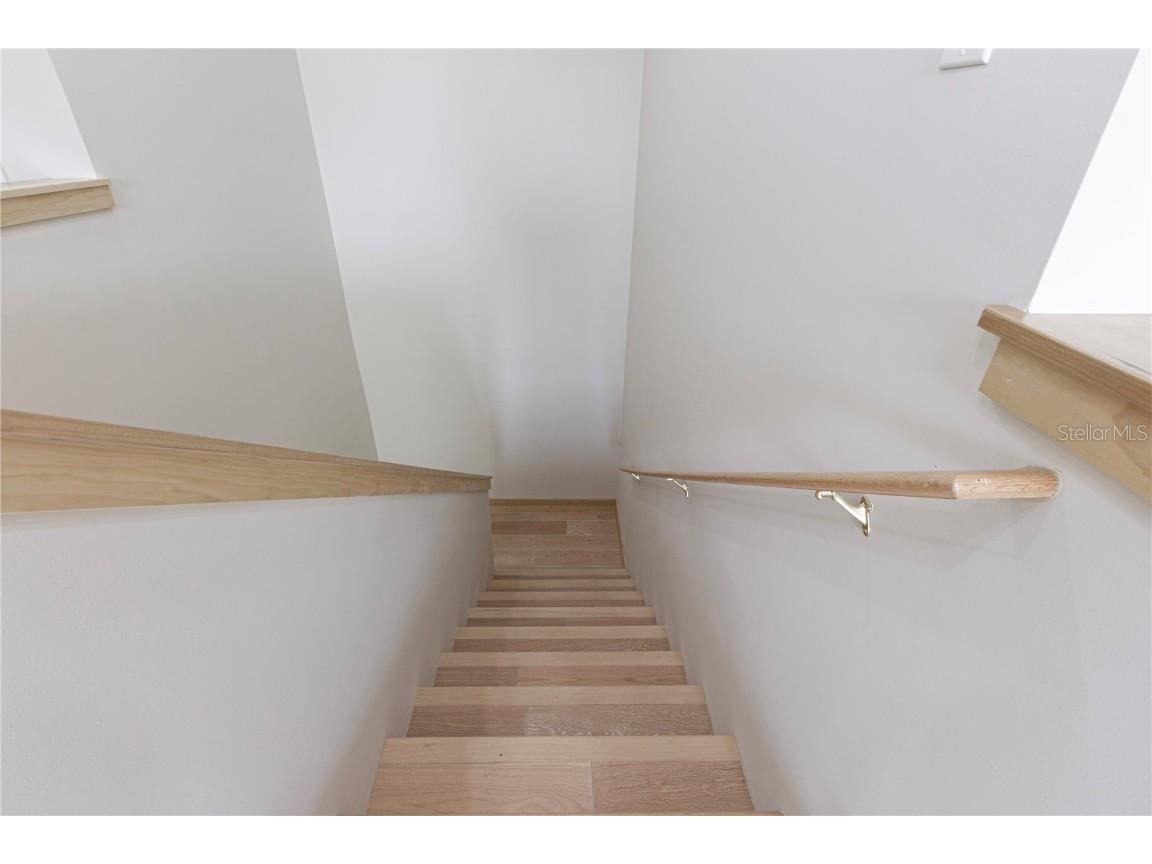 1808 W Erna Drive Tampa FL 33603 TB8402996 image64