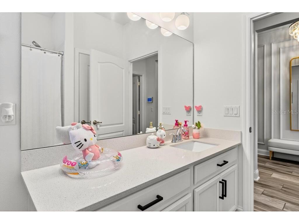 1808 Western Trailway Drive Oakland FL 34787 O6362053 image39