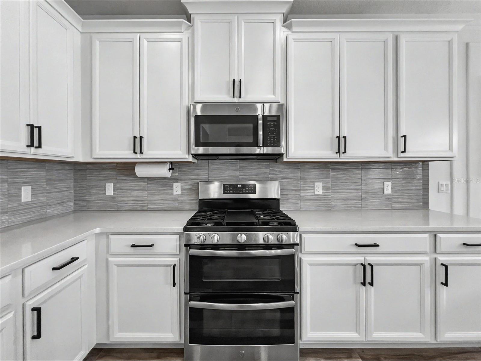 1808 Western Trailway Drive Winter Garden FL 34787 S5152973 image11