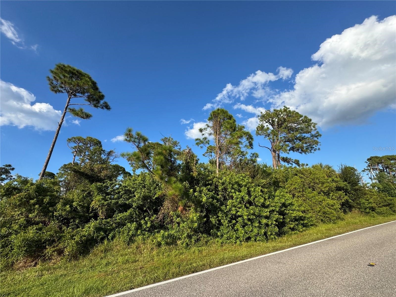 18082 Wintergarden Avenue Port Charlotte FL 33948 TB8459242 image3