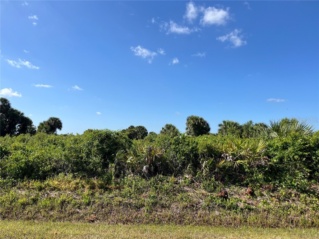 18084 NW 316th Street Okeechobee FL 34972 OK224013 image1