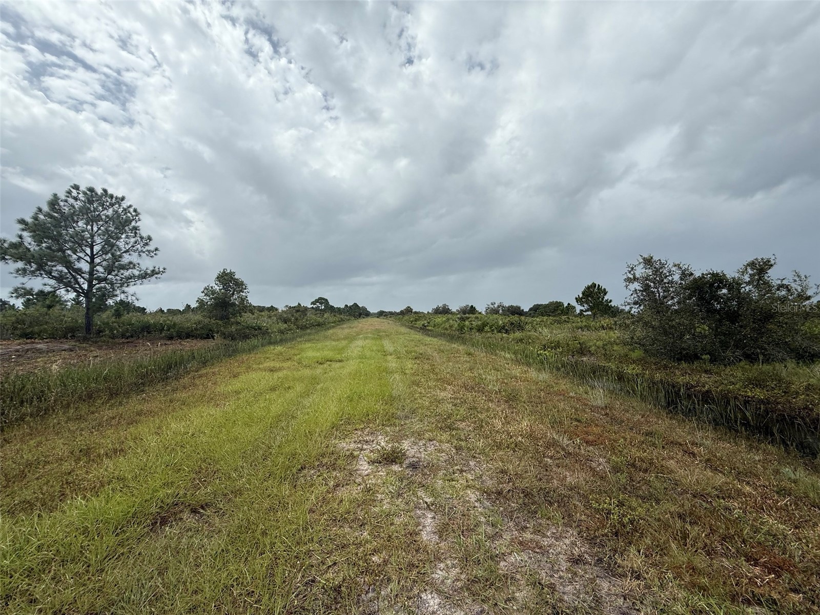 18086 NW 270th Street Okeechobee FL 34972 OK225636 image18