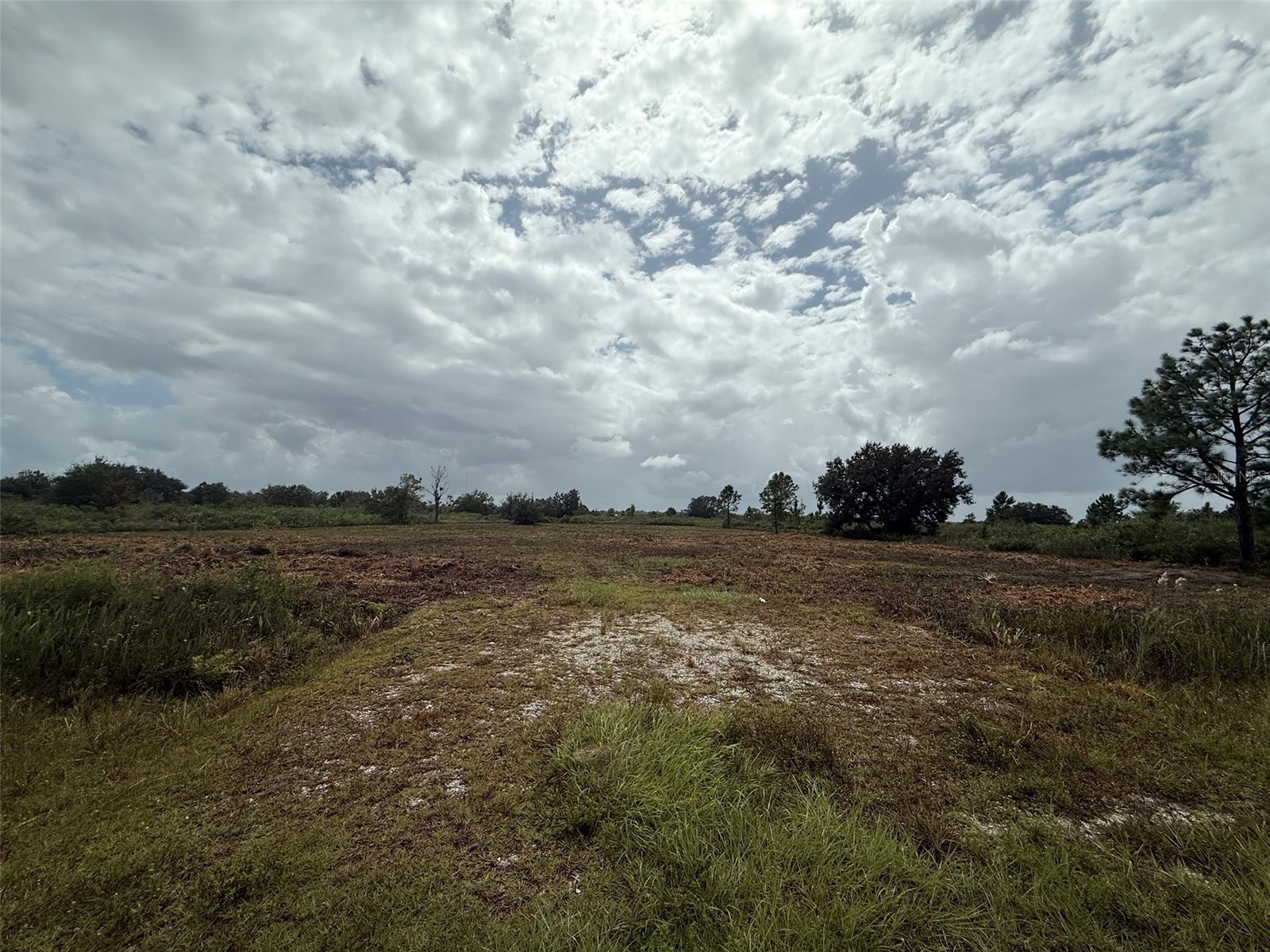 18086 NW 270th Street Okeechobee FL 34972 OK225636 image19