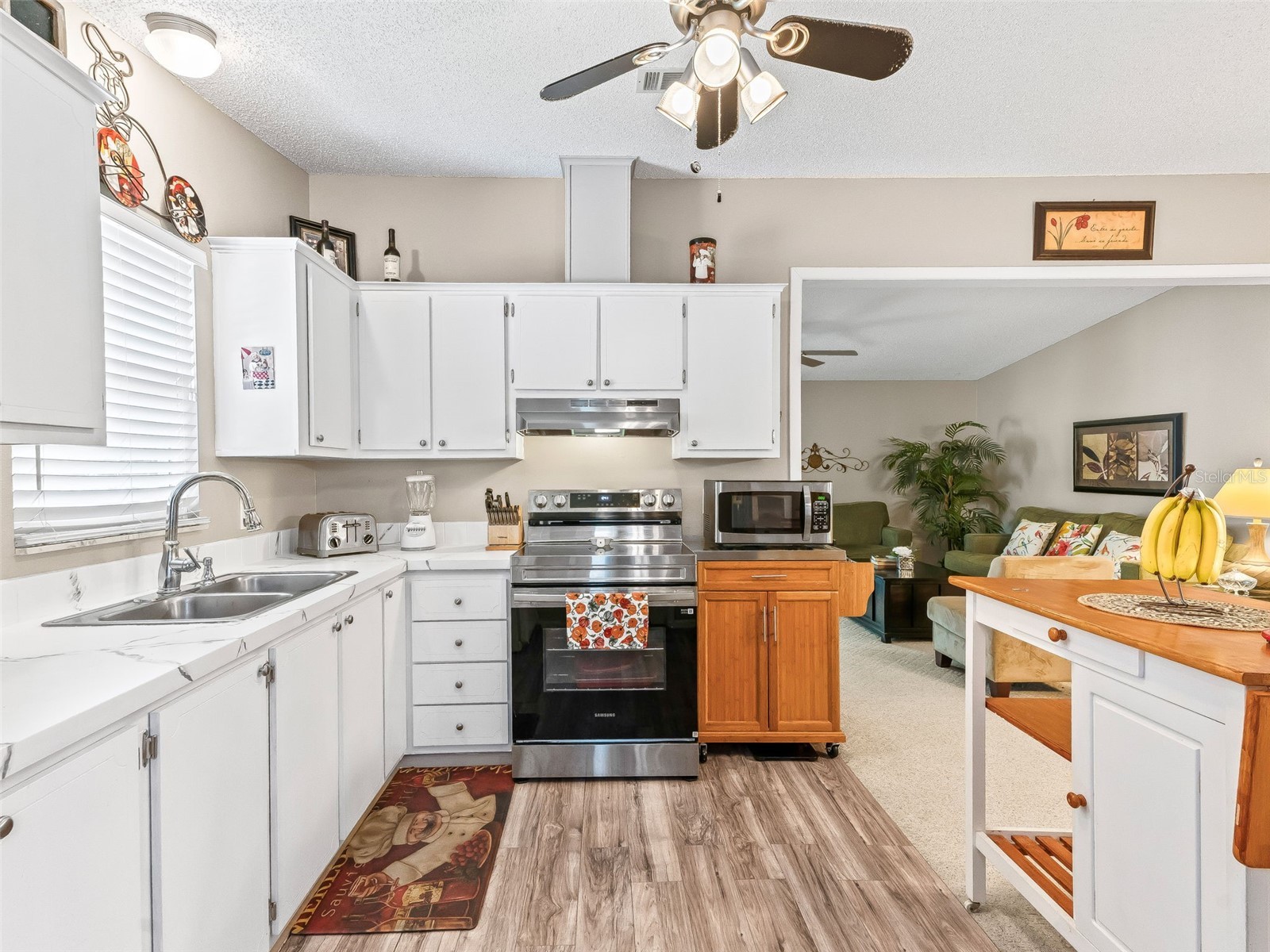 1809 Daffodil Lane The Villages FL 32159 G5111623 image6