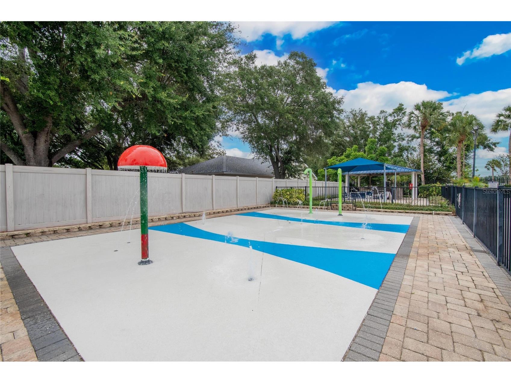 1809 Erin Brooke Drive Valrico FL 33594 TB8515533 image44