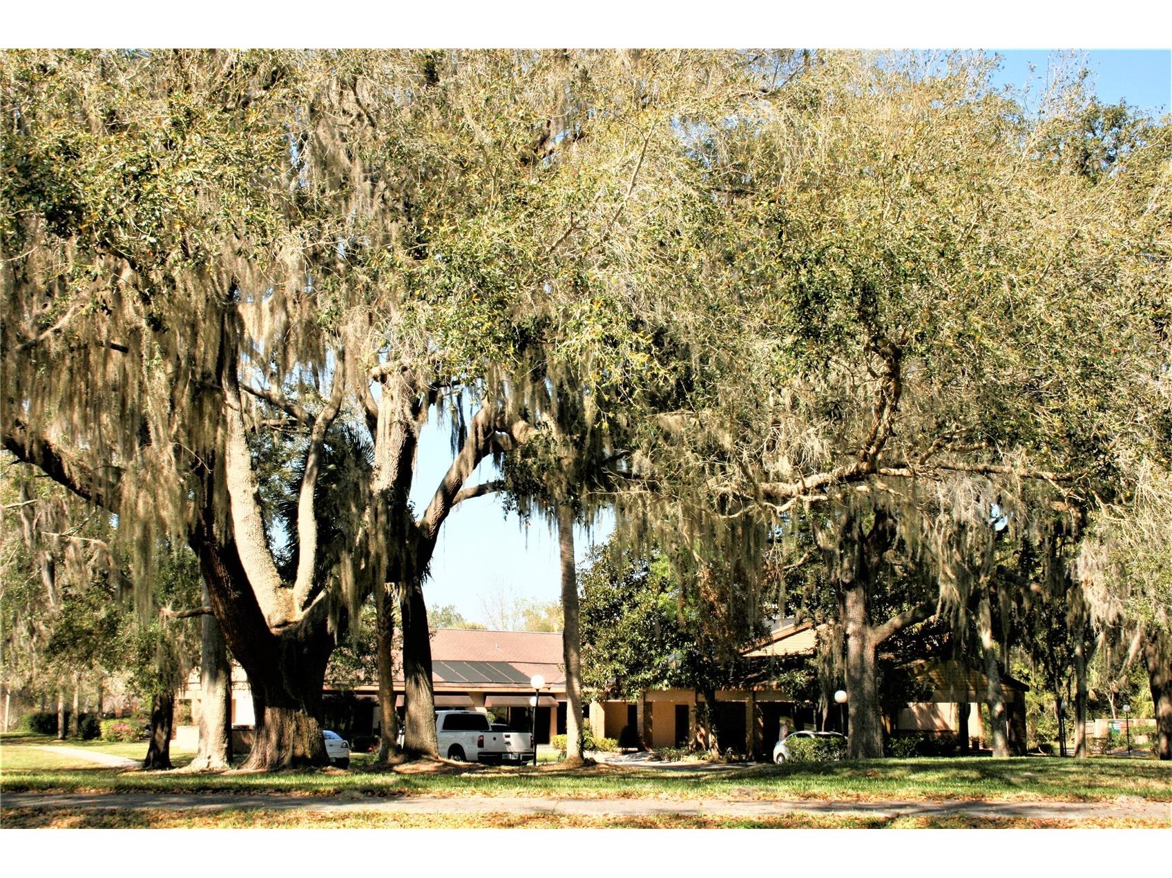 1809 SW 29th Street Ocala FL 34471 OM718240 image19