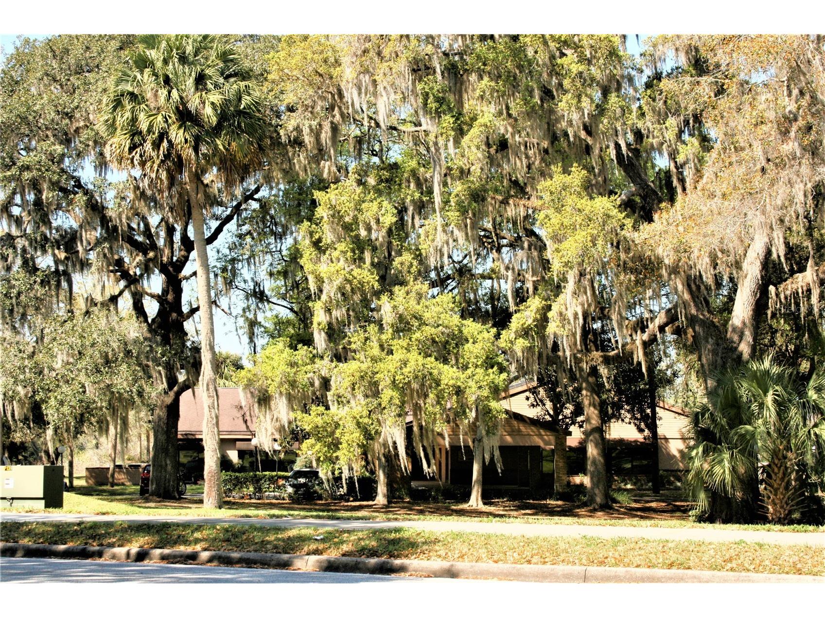 1809 SW 29th Street Ocala FL 34471 OM718240 image20