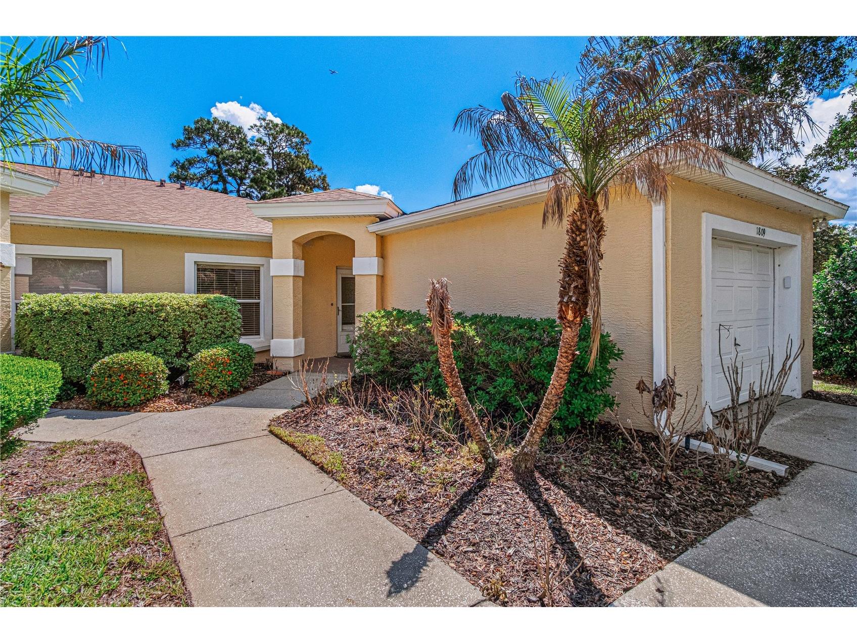 1809 Turnbull Lakes Drive New Smyrna Beach FL 32168 NS1088053 image5