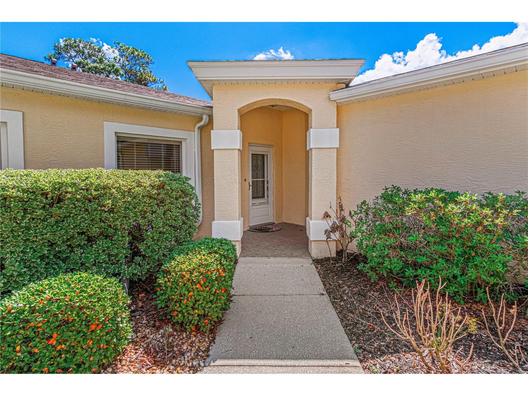 1809 Turnbull Lakes Drive New Smyrna Beach FL 32168 NS1088053 image6