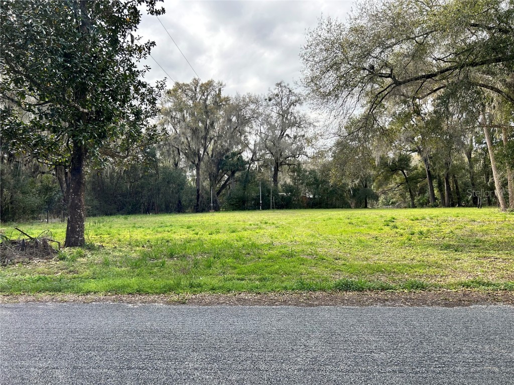 18092 NE 24th Avenue Citra FL 32113 OM653739 image1