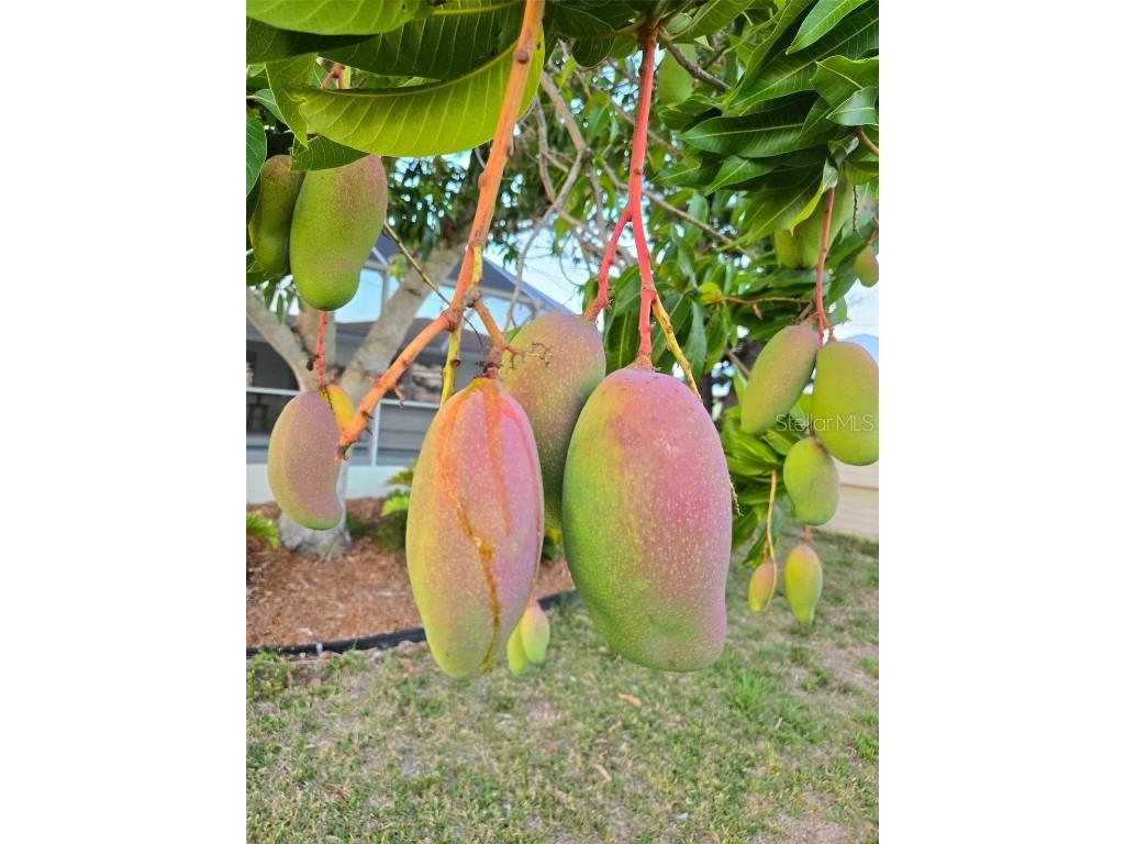 18093 Ohara Drive Port Charlotte FL 33948 - AVONDALE WATERWAY TB8397433 image39