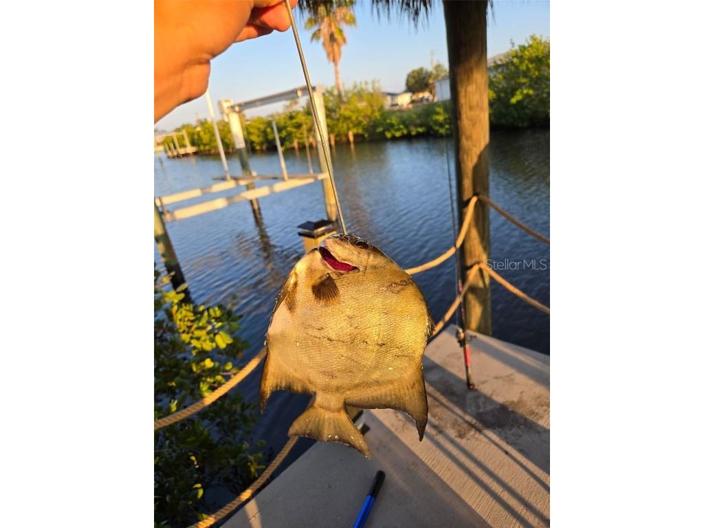 18093 Ohara Drive Port Charlotte FL 33948 - AVONDALE WATERWAY TB8397433 image40