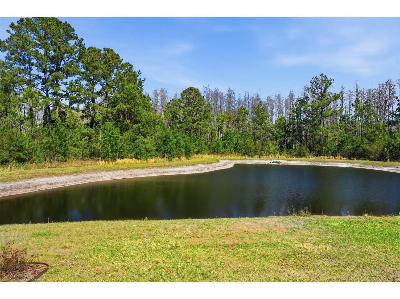 18093 Turning Leaf Circle Land O Lakes FL 34638 TB8479740 image35