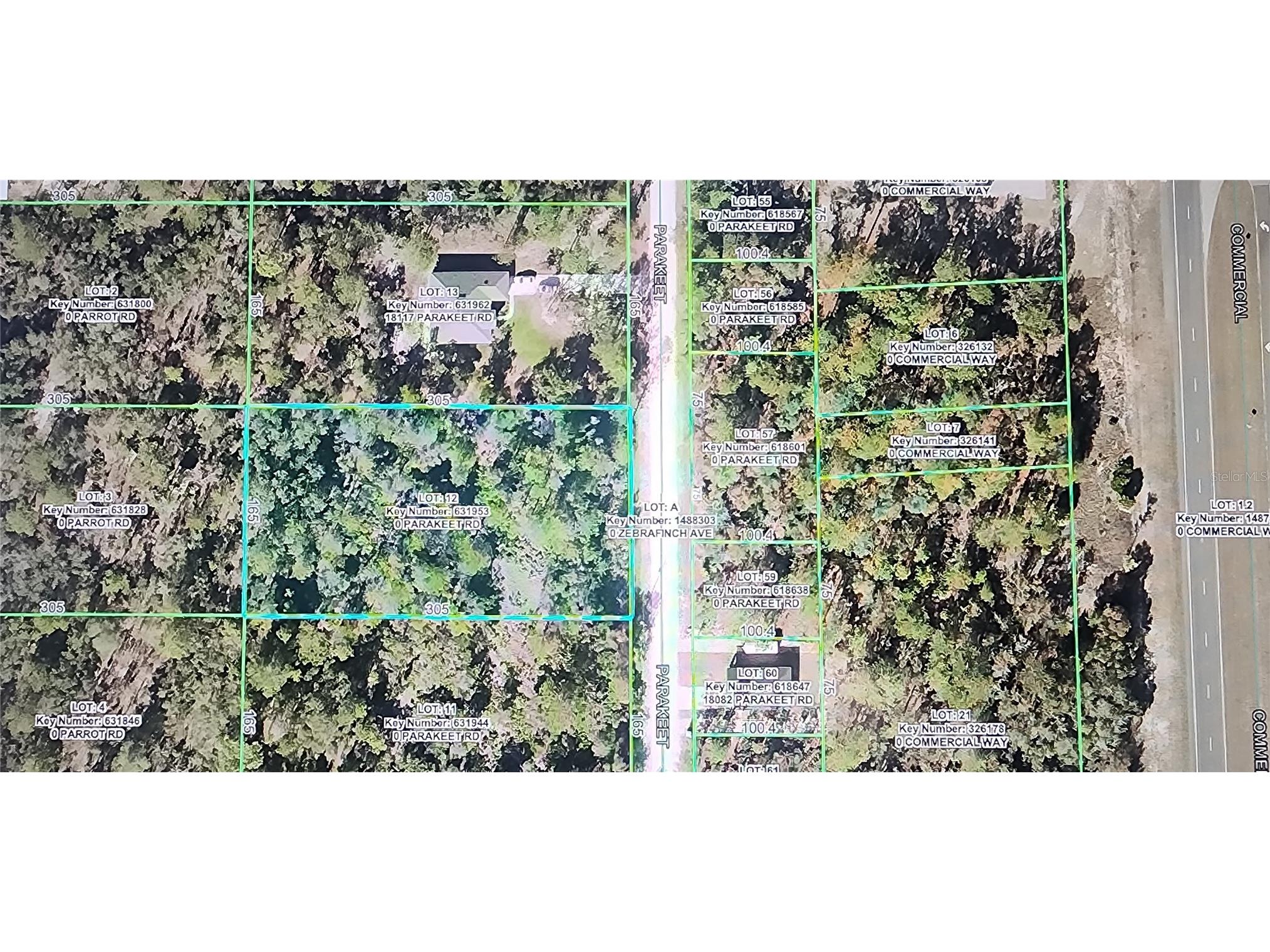 18099 Parakeet Road Brooksville FL 34614 TB8532190 image3