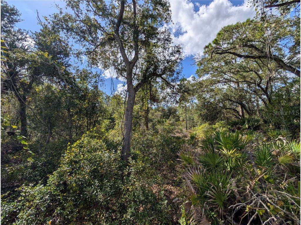 181 Juper Street Port Charlotte FL 33953 A4668720 image1