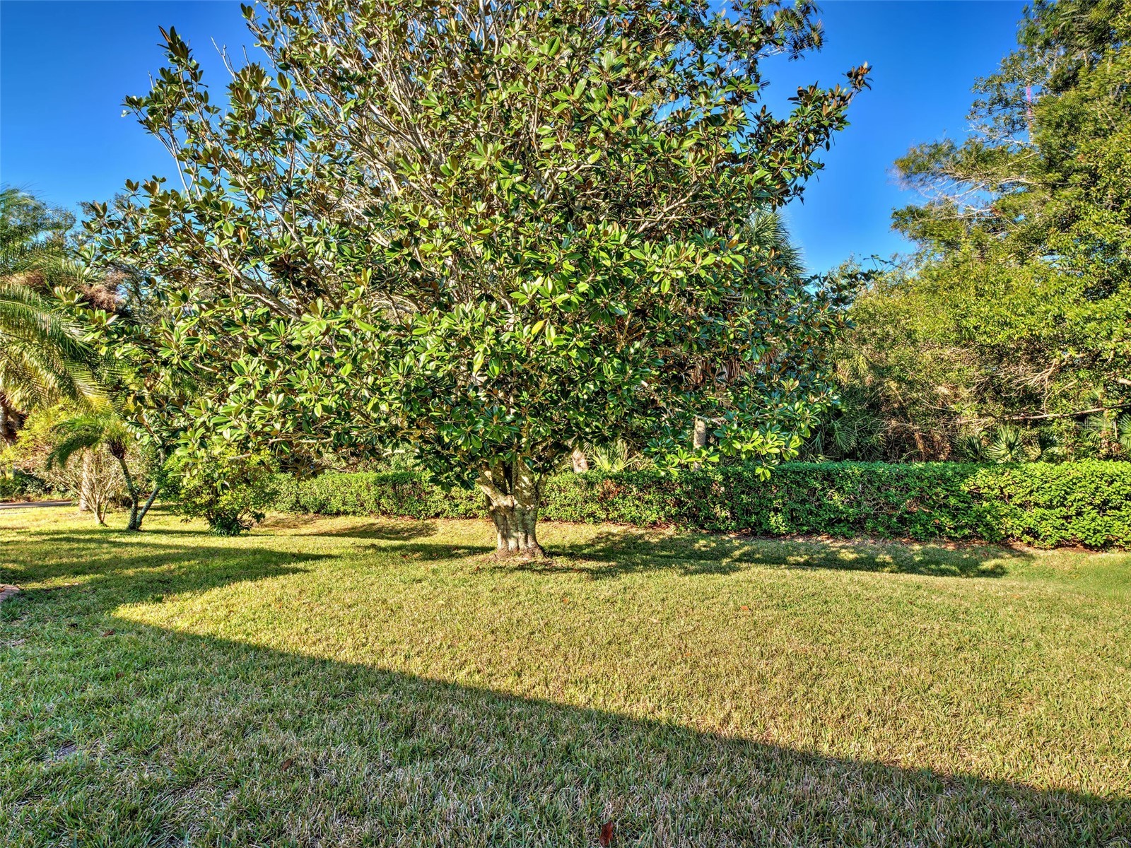 181 King Palm Court Venice FL 34292 N6141953 image44